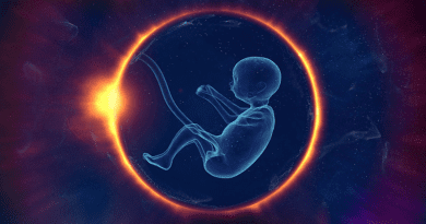 Nordic researchers find that children born after frozen-thawed embryo transfer had a higher cancer risk. CREDIT: Victoria_Borodinova, Pixabay (CC0, https://creativecommons.org/publicdomain/zero/1.0/)