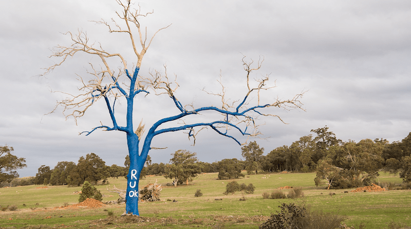 Tree painted with the R U OK? slogan. Photo Credit: Gnangarra, Wikimedia Commons