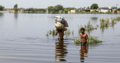 A flooded village in Matiari, in the Sindh province of Pakistan. Photo Credit: UNICEF/Asad Zaidi