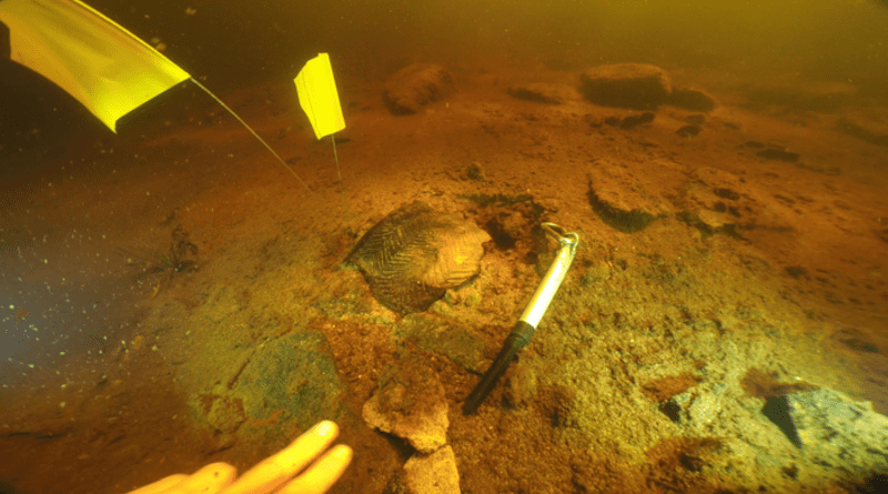 A substantial sherd of Early Neolithic pottery, as found on the loch bed at Loch Bhogastail CREDIT: Dan Pascoe