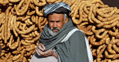 Hazaras Afghanistan Afghans Kandahar Kabul Herat People Man Elderly