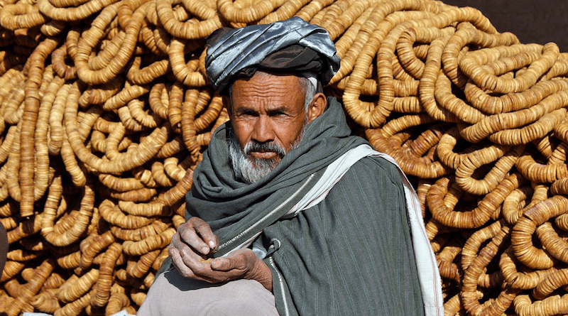 Hazaras Afghanistan Afghans Kandahar Kabul Herat People Man Elderly