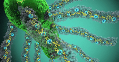 Bacteria producing nanowires made up of cytochrome OmcS. (Credit: Ella Maru Studio)