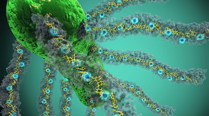 Bacteria producing nanowires made up of cytochrome OmcS. (Credit: Ella Maru Studio)