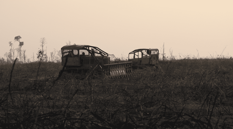 Mechanical clearance of burnt forest in the Eastern Brazilian Amazon CREDIT: Alexander C Lees