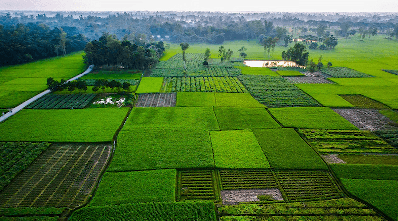 Bangladesh Fields Countryside Landscape Farm Plantation Rural