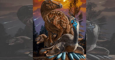 Artist’s depiction of Late Cretaceous oviraptorosaurs, hadrosaurs, and tyrannosaurs living in central China CREDIT: IVPP