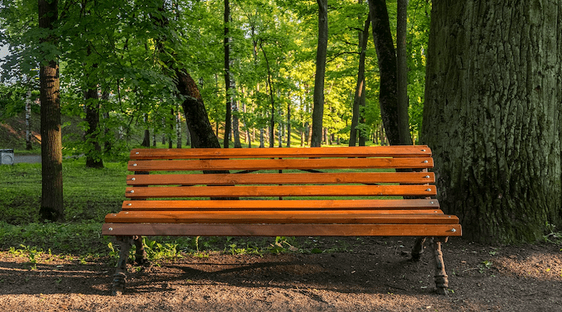 Bench The Park Evening Progulka Wonderful Mood Trees Forest City
