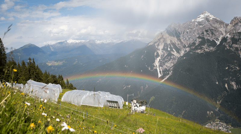 The drought experiment, set up in Austria's Stubai Valley CREDIT: Johannes Ingrisch