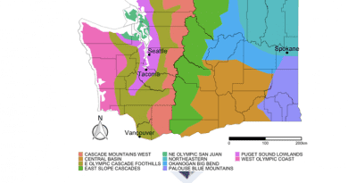 The study looked at mortality data in 10 federally defined climatic zones for Washington state, shown here, from 1980 to 2018. Heat-related mortality risks were higher in four climate zones: the Puget Sound lowlands (fuchsia); east slope Cascades (mossy green); the Northeast Olympic San Juan (sea green); and Northeastern (teal). CREDIT: Arnold et al./Atmosphere