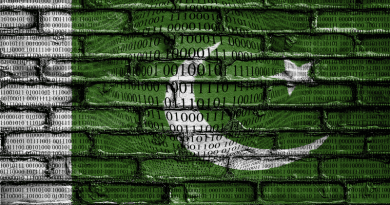 Pakistan Flag Cyber Digital hacking Hacker