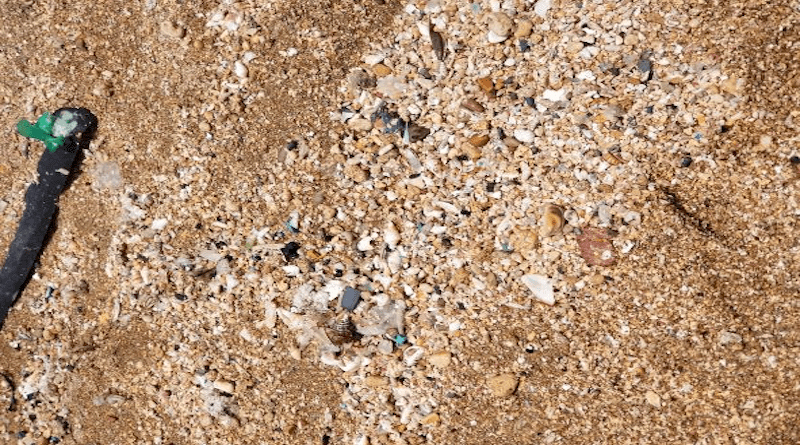 Plastic waste at the beach. Photo credit: Tel Aviv University.