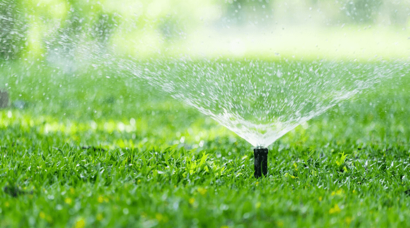 To ensure that everyone has access to clean water, food and an acceptable standard of living, we must make better use of our global water resources. Wastewater can be used to irrigate our parks and crops. Photo: Shutterstock