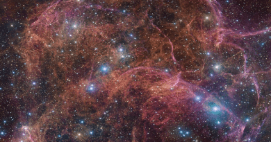 This image shows a spectacular view of the orange and pink clouds that make up what remains after the explosive death of a massive star — the Vela supernova remnant. This detailed image consists of 554 million pixels, and is a combined mosaic image of observations taken with the 268-million-pixel OmegaCAM camera at the VLT Survey Telescope, hosted at ESO’s Paranal Observatory. OmegaCAM can take images through several filters that each let the telescope see the light emitted in a distinct colour. To capture this image, four filters have been used, represented here by a combination of magenta, blue, green and red. The result is an extremely detailed and stunning view of both the gaseous filaments in the remnant and the foreground bright blue stars that add sparkle to the image. CREDIT: ESO/VPHAS+ team. Acknowledgement: Cambridge Astronomical Survey Unit