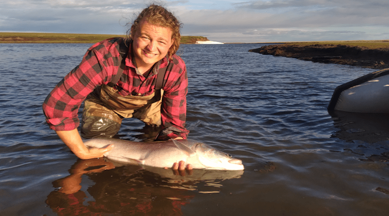 WCS technician Thomas House holds a sheefish - Aukulak Lagoon CREDIT: Kevin Fraley