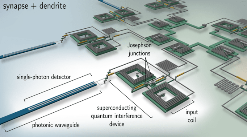 Artistic rendering of how superconducting circuits that mimic synapses (connections between neurons in the brain) might be used to create artificial optoelectronic neurons of the future. CREDIT: J. Chiles and J. Shainline/NIST