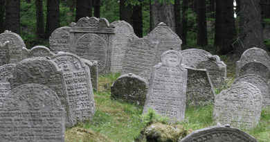 Cemetery Jewish Grave Calculus Forest Judaism