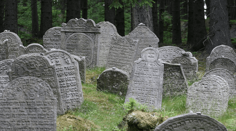 Cemetery Jewish Grave Calculus Forest Judaism