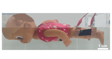 An underwater movement sensor attached to a motorized swimming doll’s knee alerts a smartphone app when the doll stops kicking, simulating a swimmer in distress. CREDIT: Adapted from ACS Nano 2022, DOI: 10.1021/acsnano.2c08325