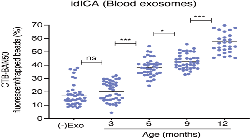 Concentration of amyloid β-binding exosomes that were detected by the Digital ICA chip in the blood of mice of different ages. asterisks represent significant results (Kohei Yuyama, et al. Alzheimer's Research & Therapy. October 3, 2022). CREDIT: Kohei Yuyama, et al. Alzheimer's Research & Therapy. October 3, 2022