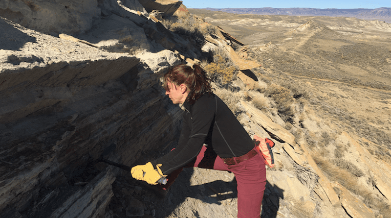 Lauren Azevedo-Schmidt searches for fossilized plants in Wyoming’s Hanna Basin in a deposit that is about 60 million years old. She and other researchers compared fossil leaves with modern samples and found higher rates of insect damage today. CREDIT: Lauren Azevedo-Schmidt