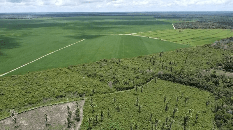 This aerial photo shows where environmentally fragile savannah has been converted to farm land in the Cerrado region of Brazil. CREDIT: Alencar Zanon/University Federal of Santa Maria
