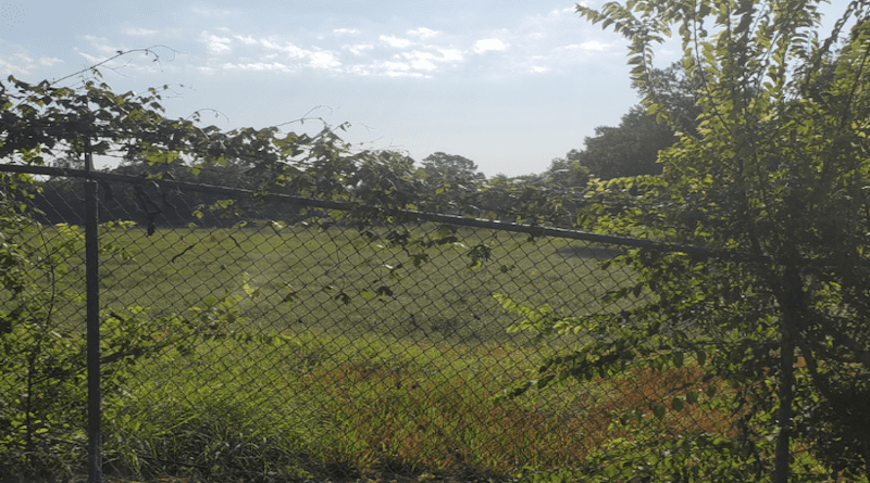 Fence deformation due to Long Point fault in Spring Branch. CREDIT: University of Houston