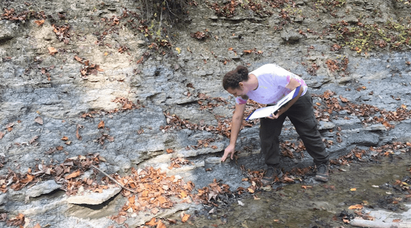 University of Cincinnati geology student Ian Forsythe studied the fossil record in the Late Ordovician Period to learn more about a phenomenon called the Richmondian Invasion. CREDIT: Ian Forsythe