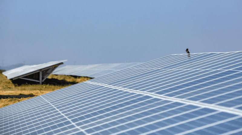 Al Kharsaah solar power plant in Qatar. Photo Credit: TotalEnergies