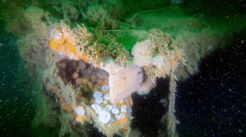 Torn deck plating of the V 1302 John Mahn that was damaged by the bomb that hit amidships CREDIT: VLIZ