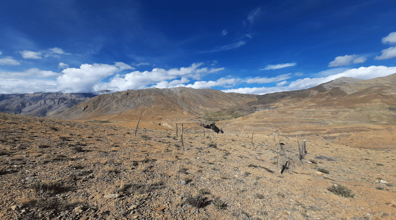 Long-term field experiment in the high-altitude Himalayan desert ecosystem in Spiti, Himachal Pradesh CREDIT: Dilip Naidu.