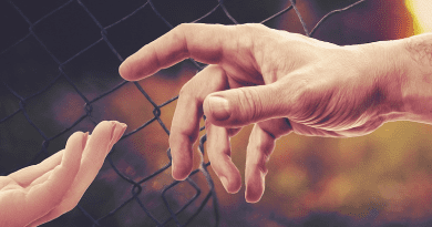 Hands Fence Freedom Border Wire Help Solidarity Deportation Human Rights Migrant Refugee