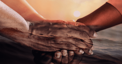 Peace Hope Hands Cohesion Together People Support Help