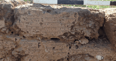 Burnt mud brick wall from Tel Batash (Biblical Timnah) with markings of the field orientation. CREDIT: Yoav Vaknin.