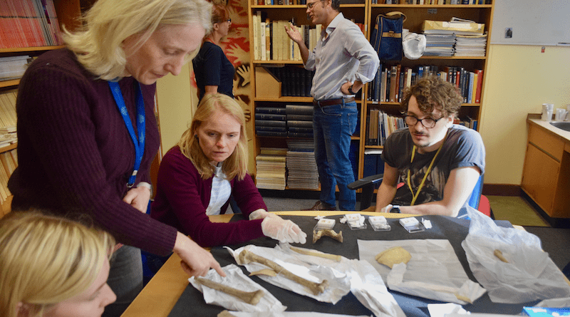 Researchers looking at Kendrick’s Cave human remain. ( Dr Rhiannon Stevens, Dr Tom Booth) Photo taken by J Trip