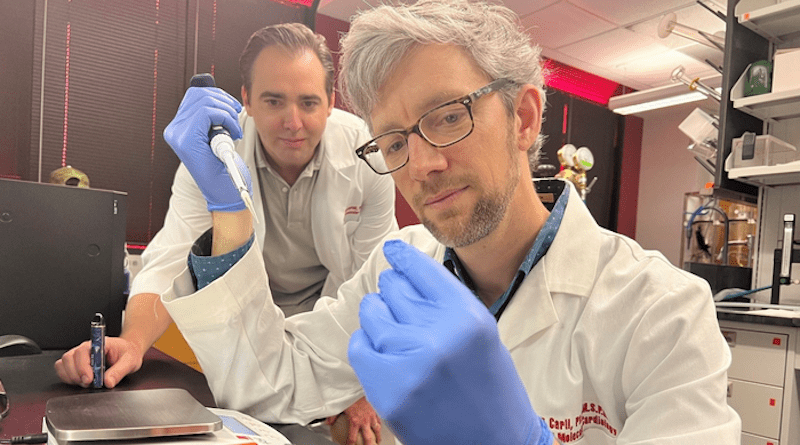 Alex Carll, assistant professor in the UofL Department of Physiology, front, with Matthew Nystoriak, associate professor of medicine. CREDIT: University of Louisville Photo