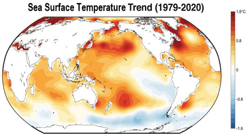Sea-surface temperature observations from 1979 to 2020 show that the surface of the Pacific Ocean has cooled off of South America and warmed off of Asia. This regional pattern is opposite to what’s expected long term with global warming. A new study suggests that in the short term, climate change could be favoring La Niñas, though it is still expected to favor El Niños in the long term. CREDIT: Wills et al./Geophysical Research Letters