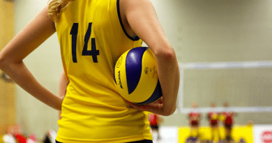 Volleyball Ball Player Team Sport Competition