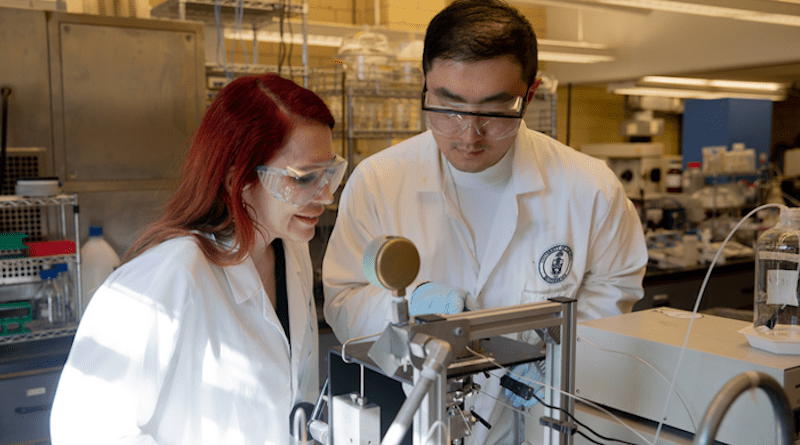 Azimi and Zhang conducted their supercritical fluid extraction experiments in a 100-millilitre high-pressure reactor. CREDIT Photo: University of Toronto Engineering / Safa Jinje