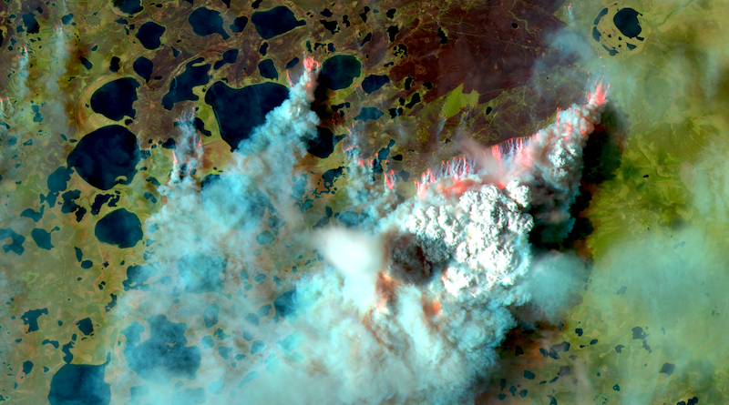 A 30 kilometer-wide wildfire front creating a pyro cumulus cloud, generated when a wildfire heats the air at a high temperature. The wildfire burned in the Siberian Arctic at a latitude of 69.31°N on August 6, 2020. Sentinel-2 Infrared color image. Source: Satellite photo created by Adrià Descals. Imagery acquired by European Space Agency.