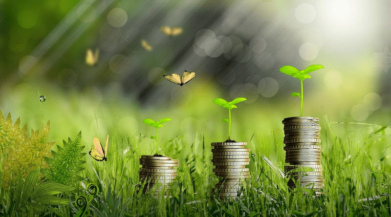 Green Finance Money Plants Growth Coins Finance Currency