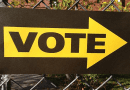 vote elections democracy