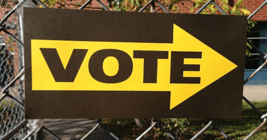 vote elections democracy