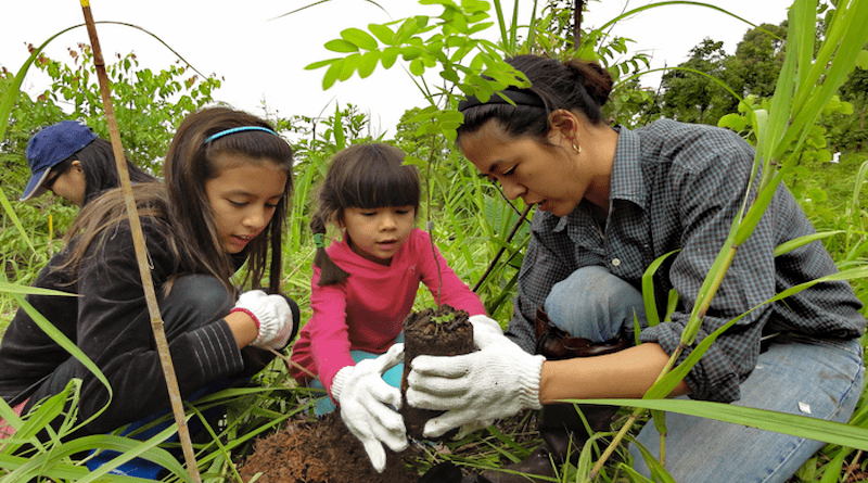 A family plants trees for forest restoration in Thailand CREDIT: Supplied by University of the Sunshine Coast Professor Andy Marshall