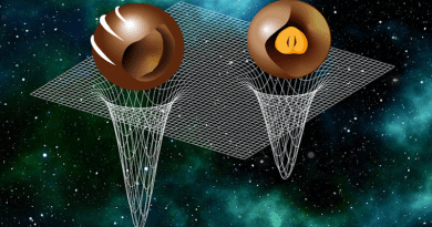 The study of the sound speed has revealed that heavy neutron stars have a stiff mantle and a soft core, while light neutron stars have a soft mantle and a stiff core – much like different chocolate pralines. CREDIT: Peter Kiefer & Luciano Rezzolla