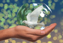 Dove Of Peace Peace Dove Hand Keep Soap Bubble