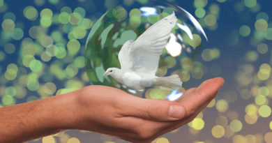 Dove Of Peace Peace Dove Hand Keep Soap Bubble