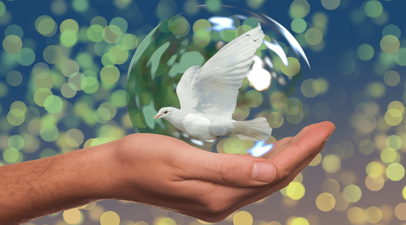 Dove Of Peace Peace Dove Hand Keep Soap Bubble
