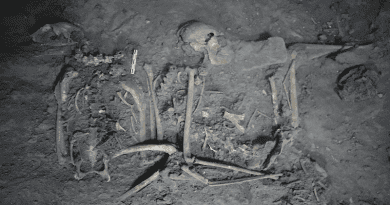 Complete skeletal remains of a 1,700 year-old female spider monkey found in Teotihuacán, Mexico. CREDIT: Nawa Sugiyama, UC Riverside.