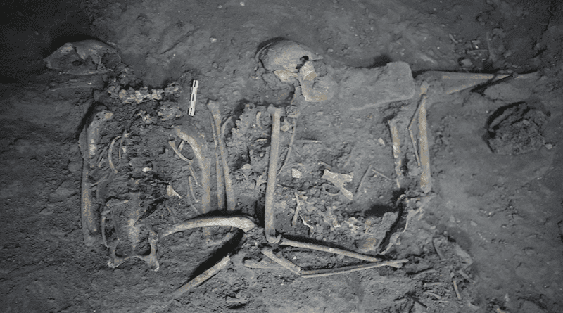 Complete skeletal remains of a 1,700 year-old female spider monkey found in Teotihuacán, Mexico. CREDIT: Nawa Sugiyama, UC Riverside.